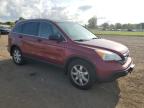 HONDA CR-V EX photo