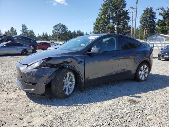 2024 TESLA MODEL Y #2986948932