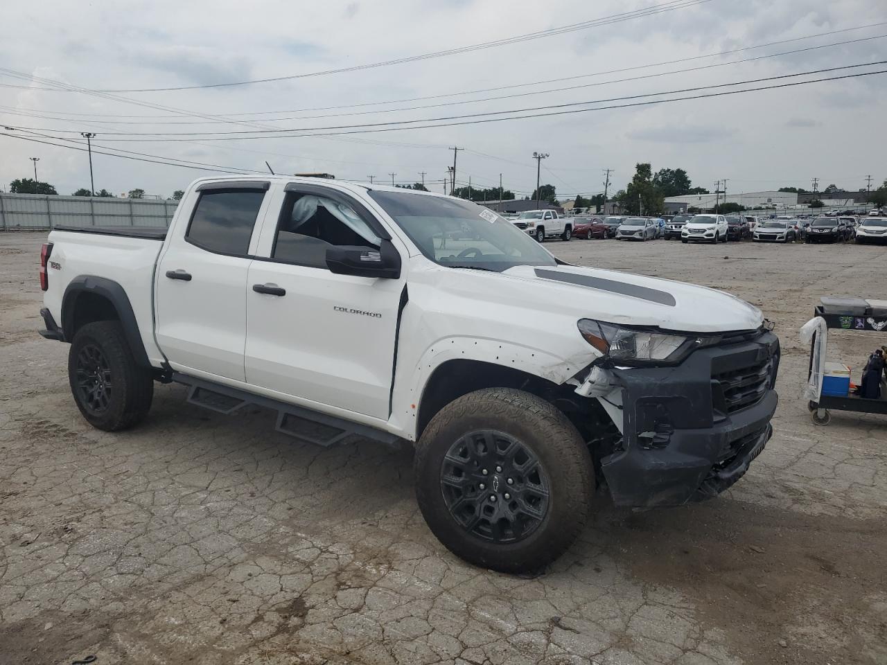 Lot #2921573743 2024 CHEVROLET COLORADO T