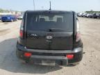 KIA SOUL + photo