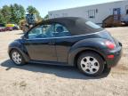 VOLKSWAGEN NEW BEETLE photo