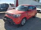 KIA SOUL + photo