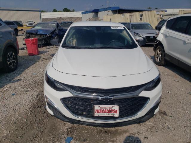 2019 CHEVROLET MALIBU RS 1G1ZG5ST0KF223235  66414774