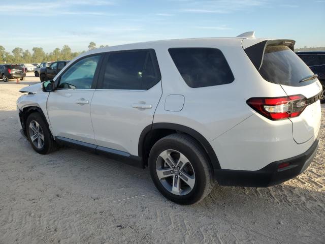 2024 HONDA PILOT EXL 5FNYG2H42RB005099  66681824