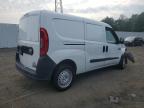 RAM PROMASTER photo