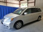 HONDA ODYSSEY EX photo