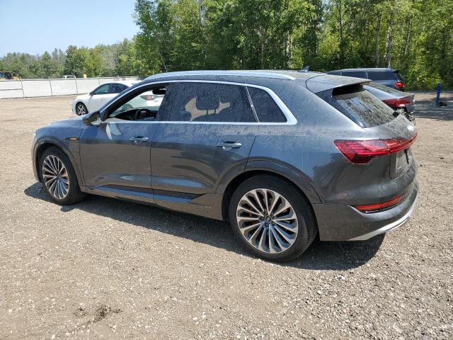 AUDI E-TRON CHR 2022 gray  electric WA1VAAGE3NB044168 photo #3