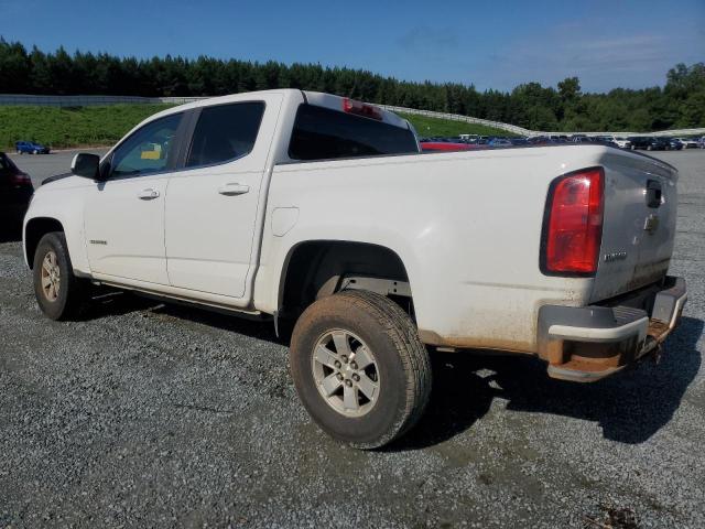 2019 CHEVROLET COLORADO - 1GCGSBEA0K1352742