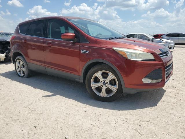 2014 FORD ESCAPE SE 1FMCU0GX5EUD92036  67875144