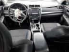 TOYOTA CAMRY LE photo