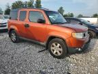 HONDA ELEMENT EX снимка