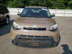 KIA SOUL + photo