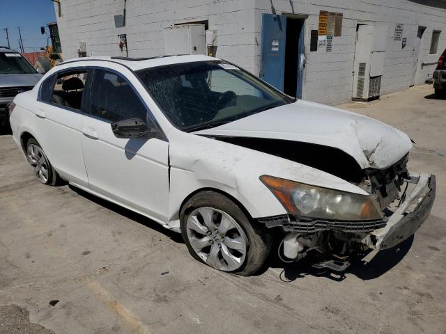 2010 HONDA ACCORD EXL 1HGCP2F80AA068295  67147474