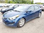 HYUNDAI ELANTRA SE photo