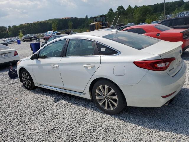 VIN 5NPE34AF5FH026810 2015 Hyundai Sonata, Sport no.2