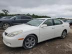 LEXUS ES 330 снимка