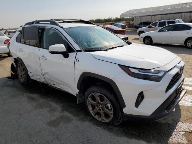 2023 TOYOTA RAV4 WOODL - 2T3UWRFV4PW186056