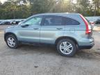 HONDA CR-V EX photo