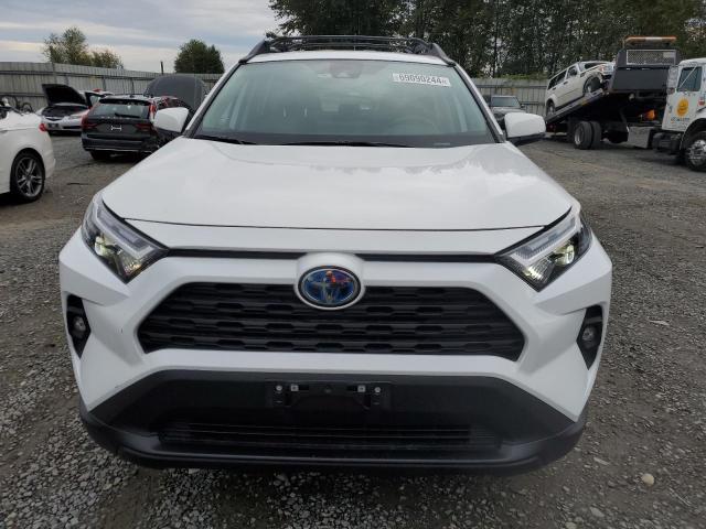 2023 TOYOTA RAV4 WOODL - 2T3UWRFV4PW156765