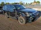 Lot #3023996205 2022 LEXUS GX 460