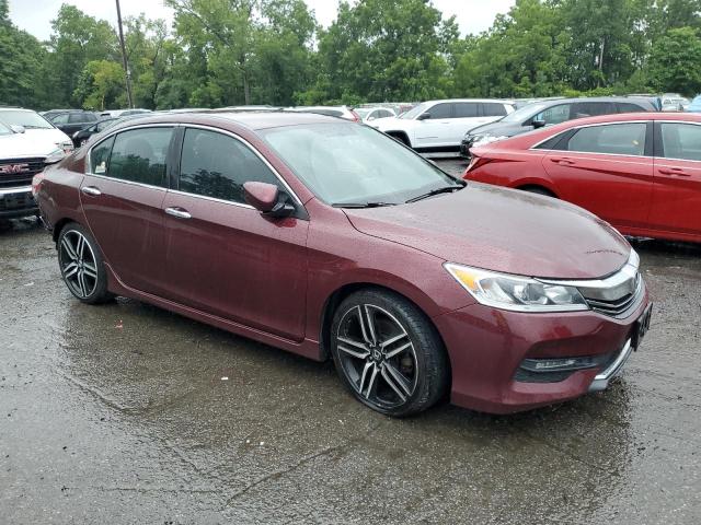 2016 HONDA ACCORD SPO - 1HGCR2F51GA204121