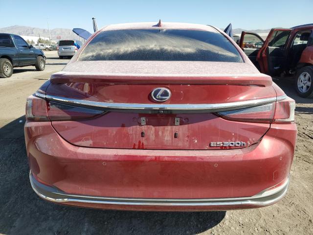 2019 LEXUS ES 300H - 58AB21B12KU004050