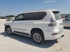 LEXUS GX 460 photo