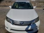 LEXUS HS 250H photo