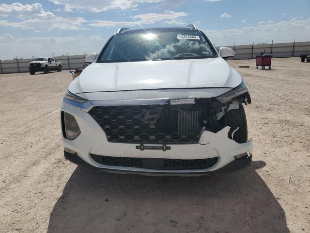 2019 HYUNDAI SANTA FE L - 5NMS5CAA0KH017659