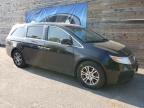 HONDA ODYSSEY EX photo