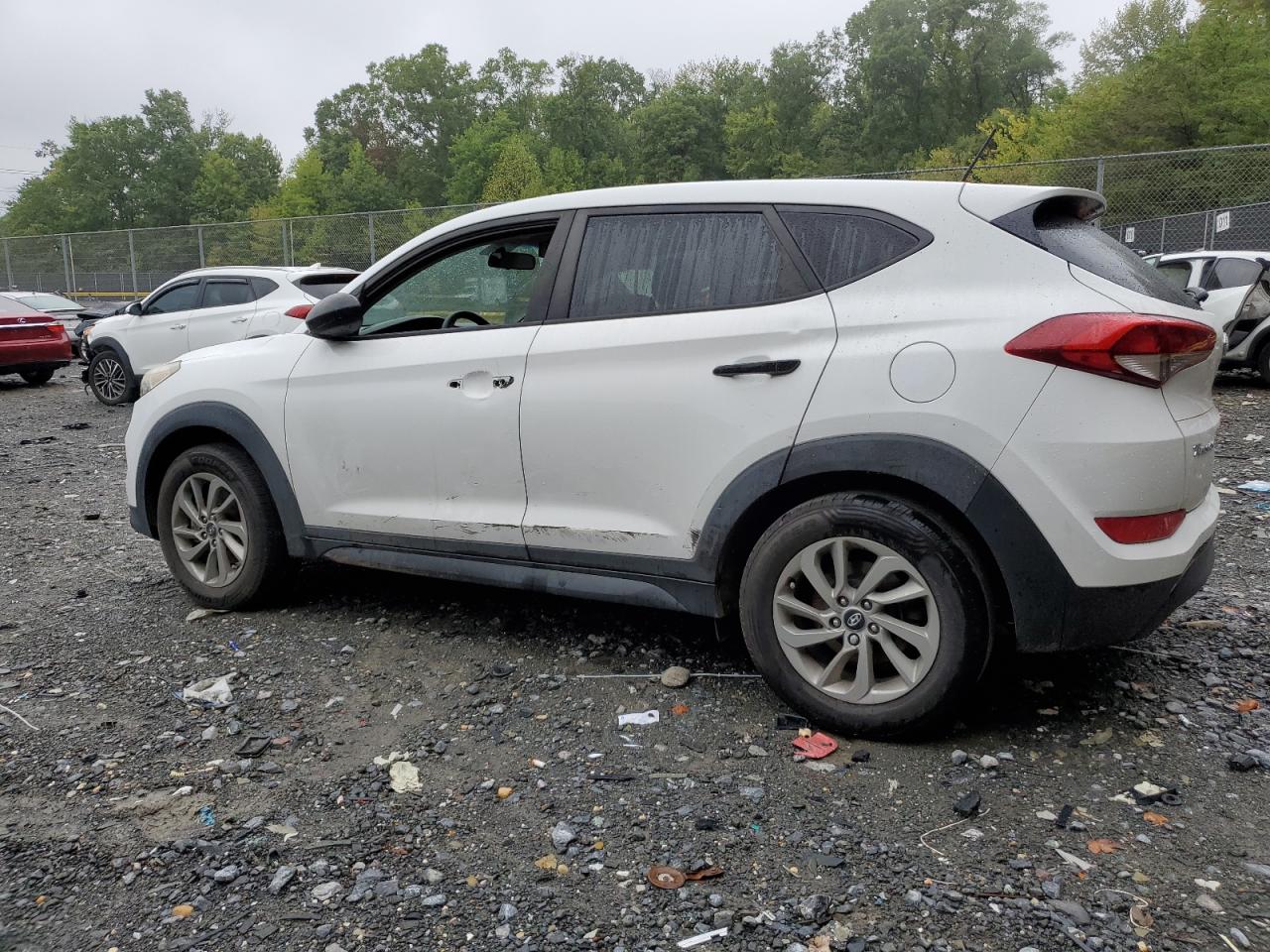 Lot #2907528630 2017 HYUNDAI TUCSON SE