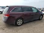 HONDA ODYSSEY EX photo