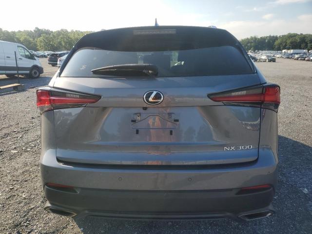 VIN JTJGARDZ6L2236067 2020 Lexus NX, 300 no.6