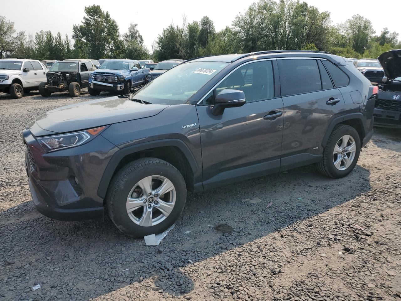 Lot #2940449518 2021 TOYOTA RAV4 XLE