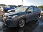 SUBARU FORESTER P photo