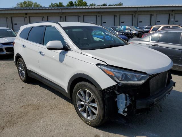 2017 HYUNDAI SANTA FE S KM8SMDHF0HU182828  69030854