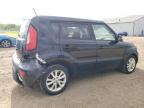 KIA SOUL + photo