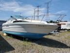 Lot #3305309321 1988 SEA RAY BOAT