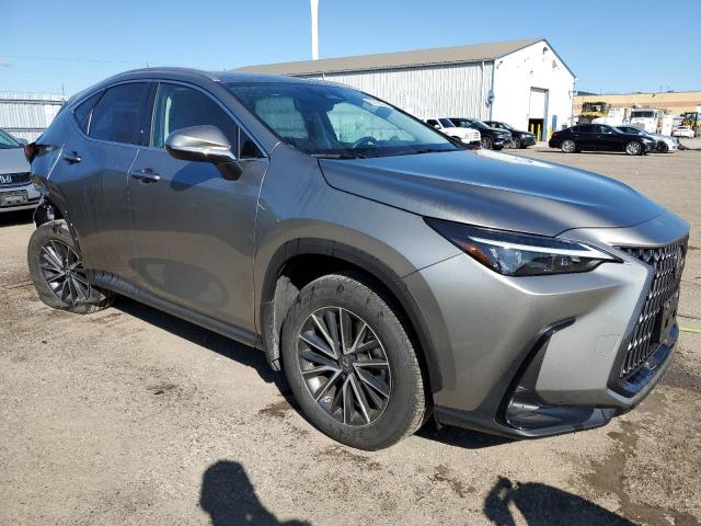 2023 LEXUS NX 250 2T2ADCEZ2PC003530