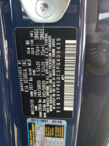 2023 KIA TELLURIDE - 5XYP6DGC3PG409439