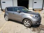 KIA SOUL photo