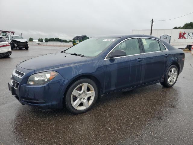 Vin: 1g1zb5e1xbf230671, lot: 64858464, chevrolet malibu ls 2011 img_1