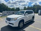 LEXUS GX 460 PRE снимка