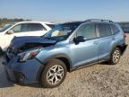 2023 SUBARU FORESTER P - JF2SKAEC9PH422518