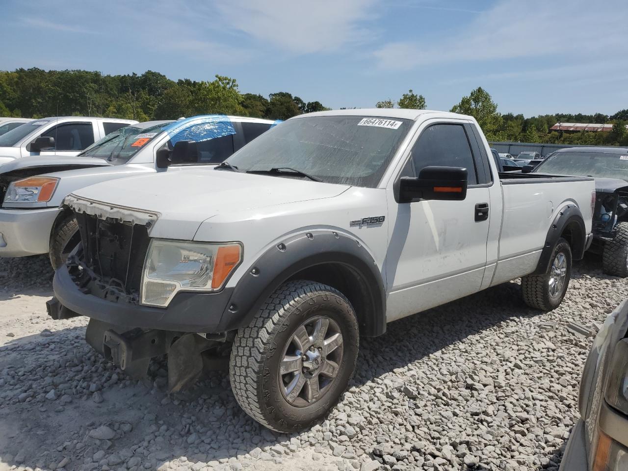 Lot #2786464255 2009 FORD F150