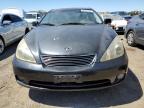 LEXUS ES 330 photo