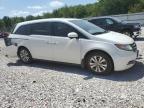 HONDA ODYSSEY EX photo