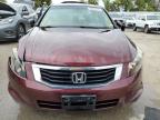 HONDA ACCORD EX photo