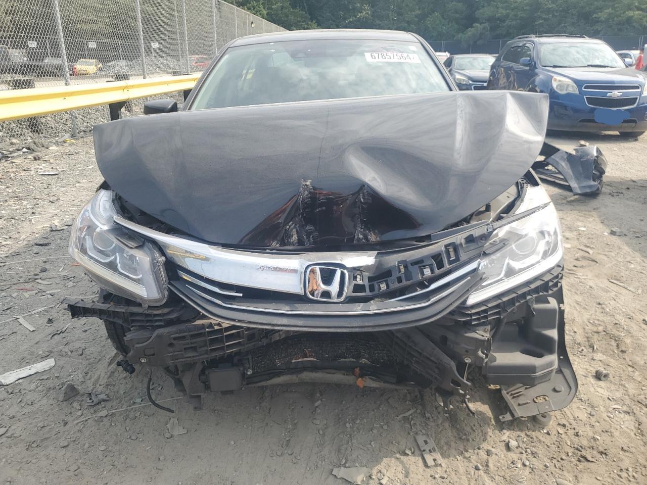 Lot #2976936807 2016 HONDA ACCORD EXL