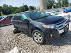 FORD EDGE SEL photo